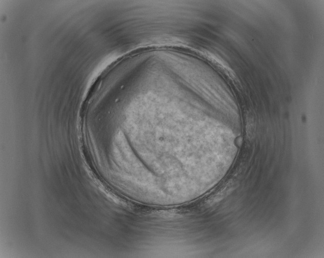 X0000077320990200611101454