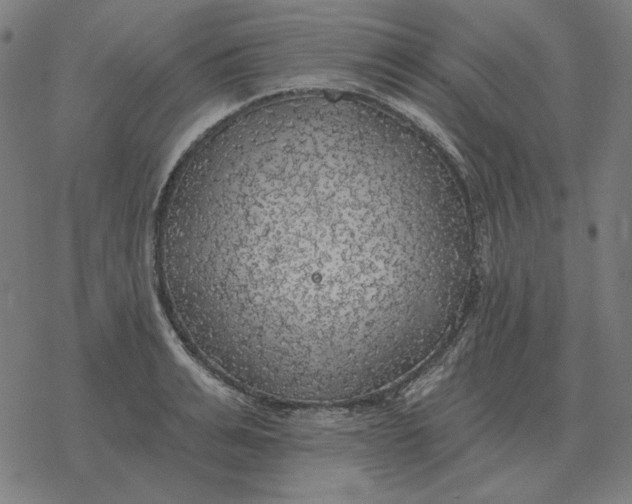 X0000077320991200611101453