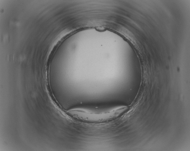 X0000077320992200611101453