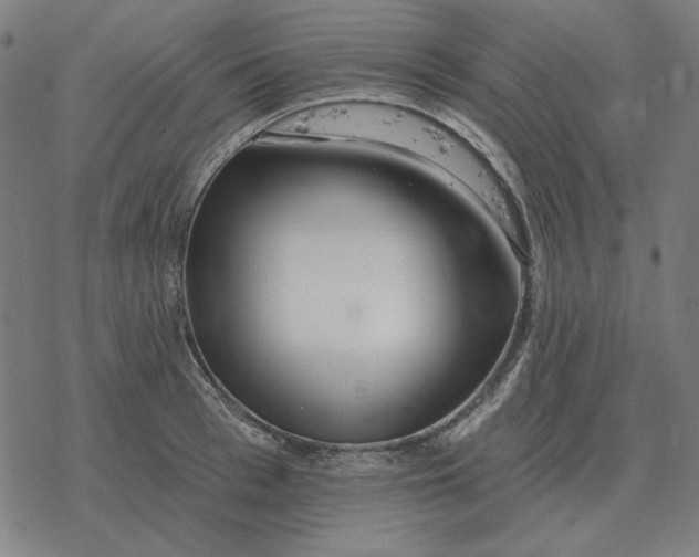 X0000077320993200611101453