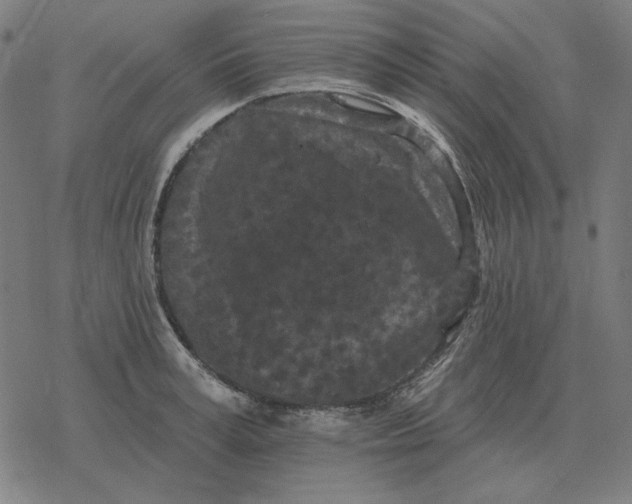 X0000077320995200611101453