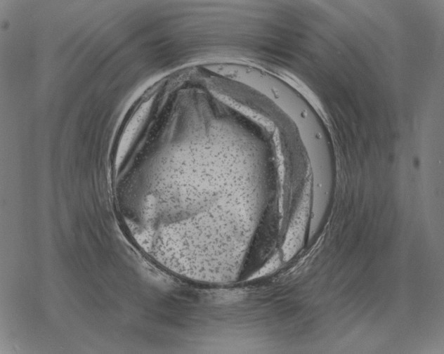 X0000077320996200611101453