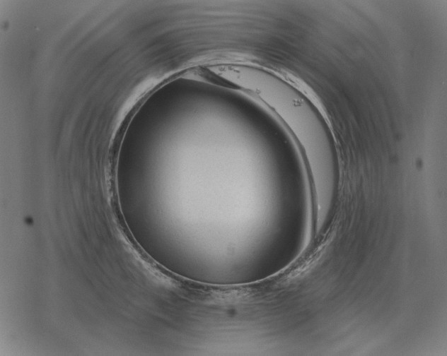 X0000077320997200611101453