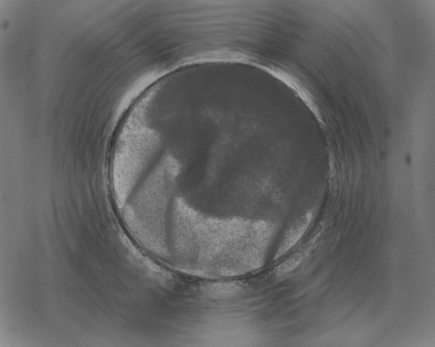 X0000077320998200611101453