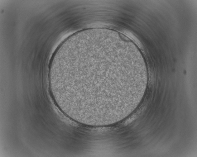 X0000077321000200611101453