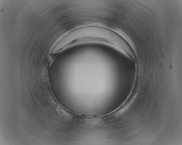 X0000077321001200611101453