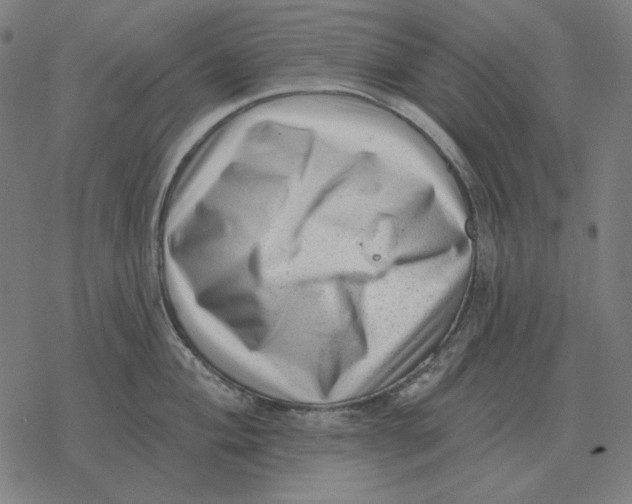 X0000077321004200611101453