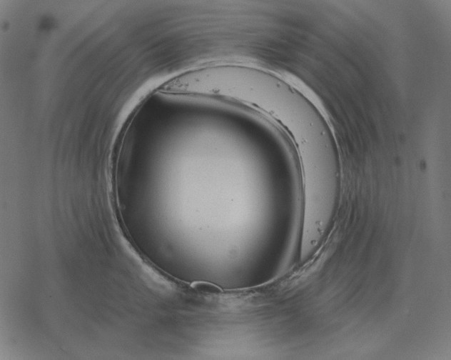 X0000077321005200611101453