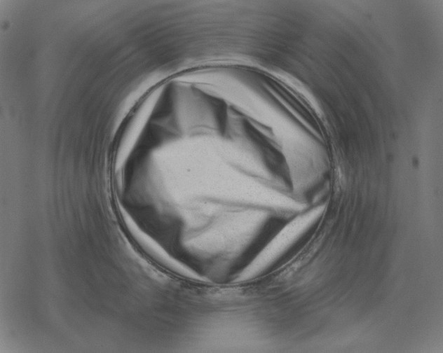 X0000077321006200611101453