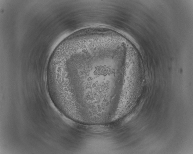 X0000077321007200611101453