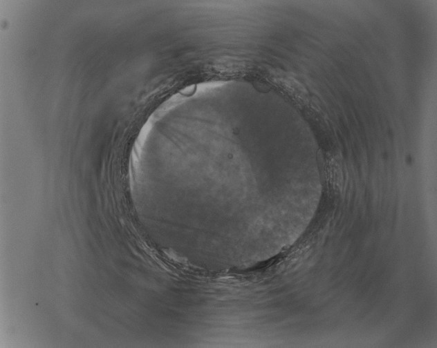 X0000077321009200611101452