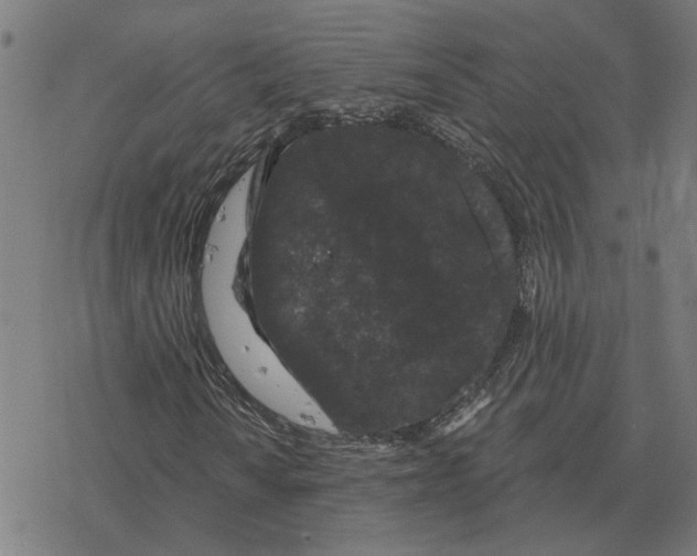 X0000077321010200611101452