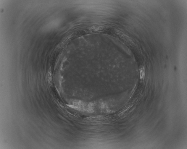 X0000077321011200611101452