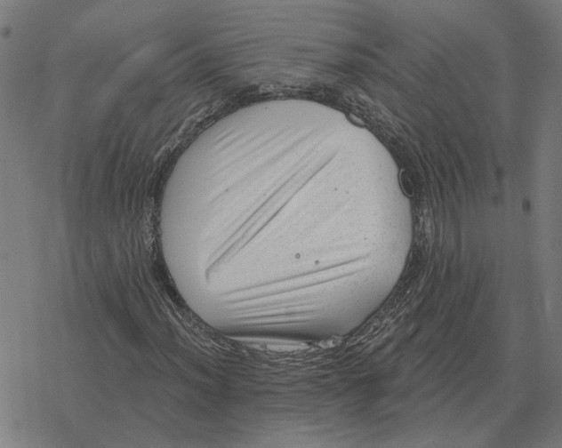 X0000077321012200611101452