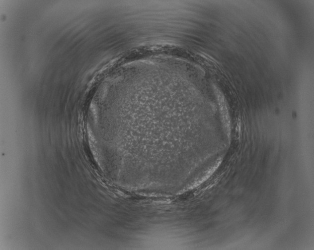 X0000077321014200611101453