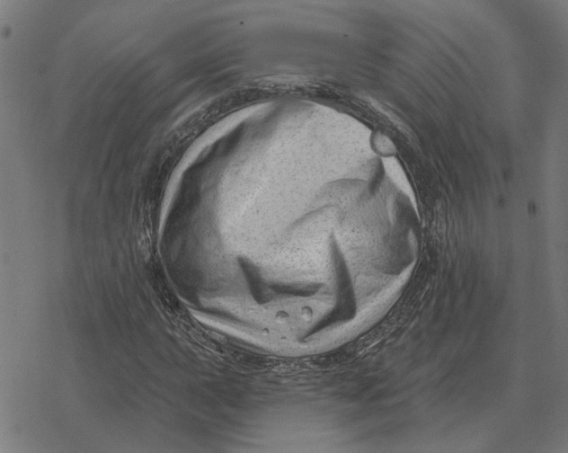 X0000077321015200611101453