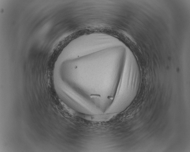 X0000077321016200611101453