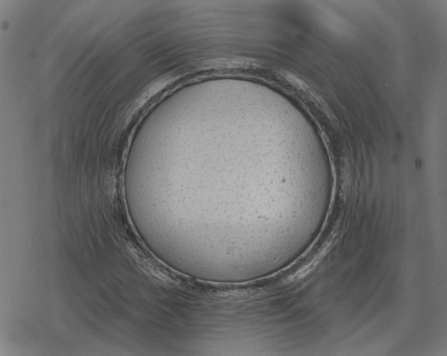 X0000077321017200611101453