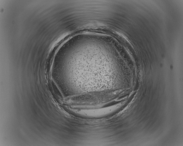 X0000077321018200611101453