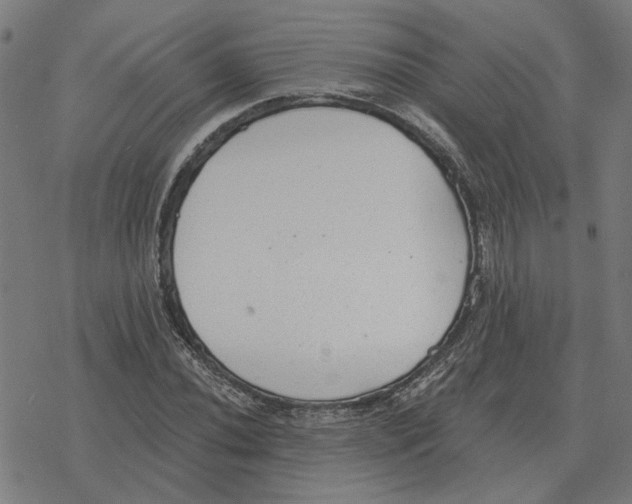 X0000077321020200611101453