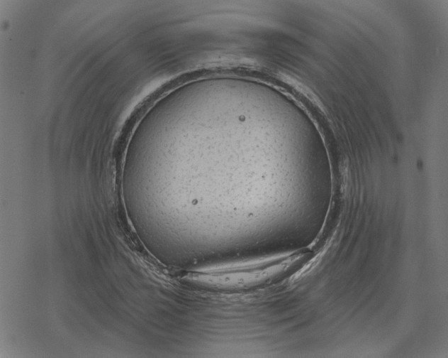 X0000077321021200611101453