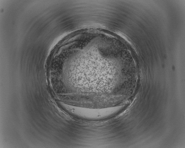 X0000077321022200611101453