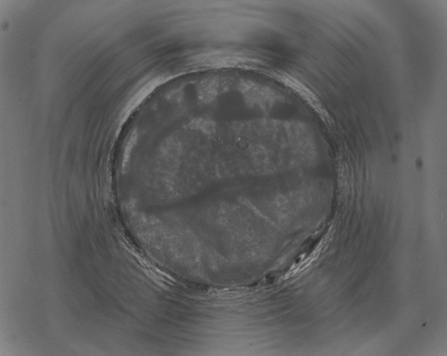 X0000077321023200611101453