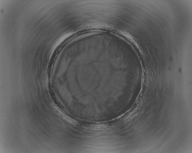 X0000077321024200611101453