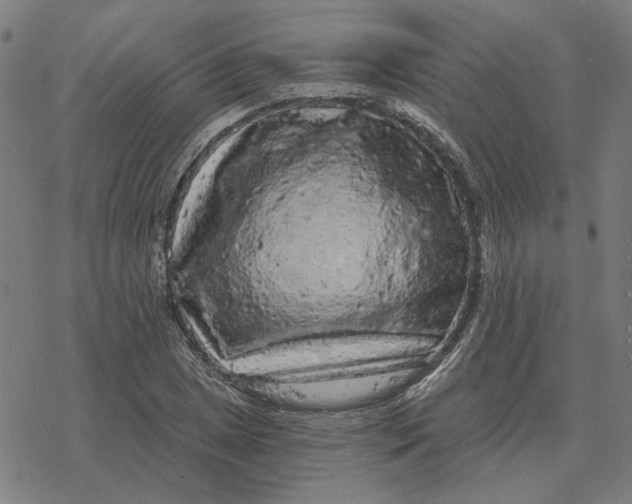 X0000077321025200611101453