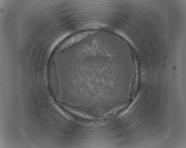 X0000077321026200611101453