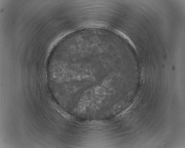 X0000077321027200611101453