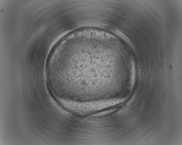 X0000077321028200611101453