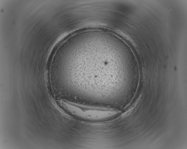 X0000077321029200611101453