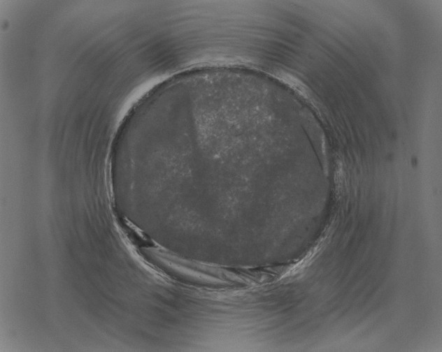 X0000077321030200611101453