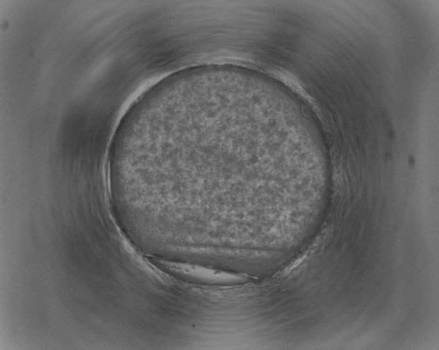 X0000077321032200611101453