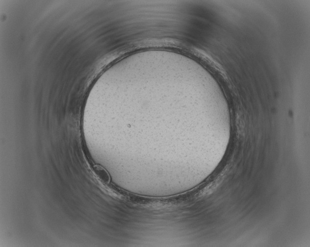 X0000077321033200611101453