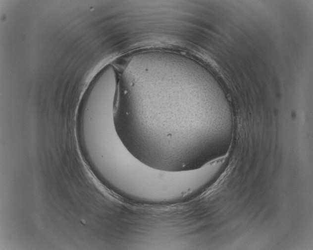 X0000077321034200611101453