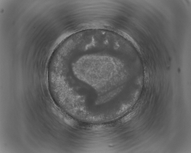 X0000077321035200611101453