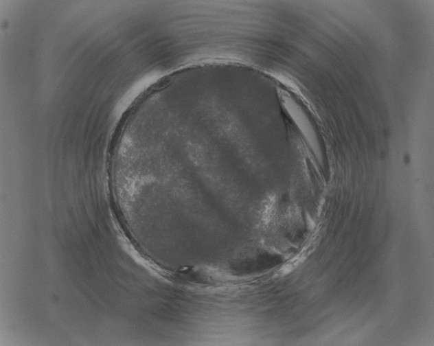 X0000077321038200611101453