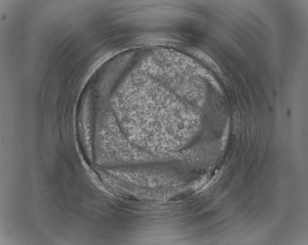 X0000077321039200611101453