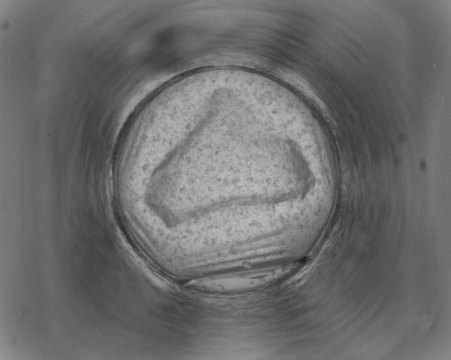 X0000077321040200611101453