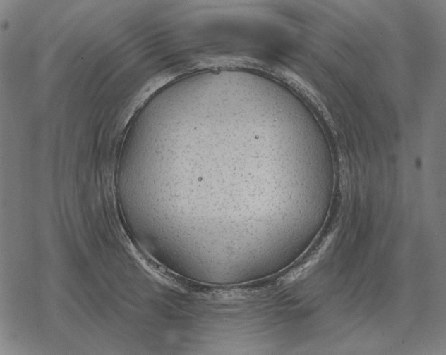 X0000077321041200611101453