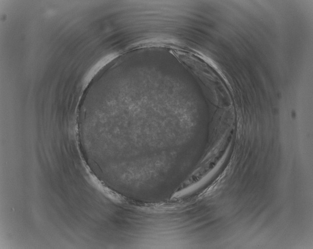 X0000077321042200611101453