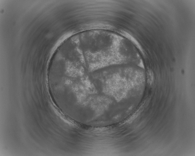 X0000077321043200611101453