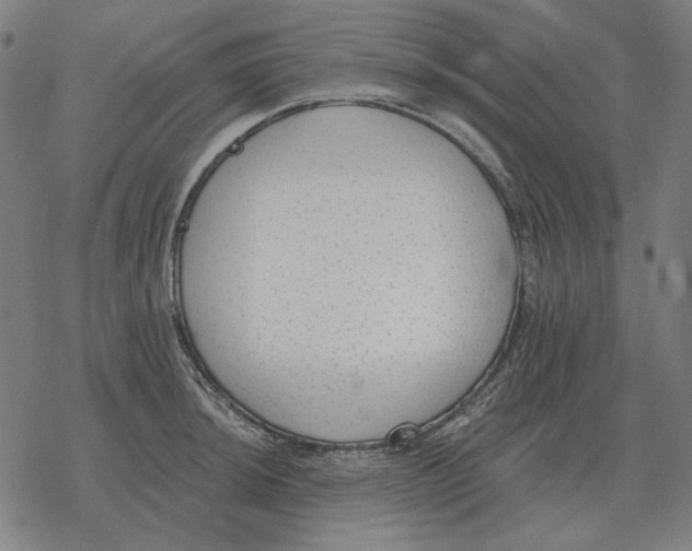 X0000077321044200611101453