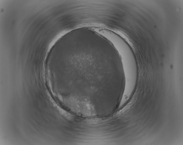 X0000077321046200611101453