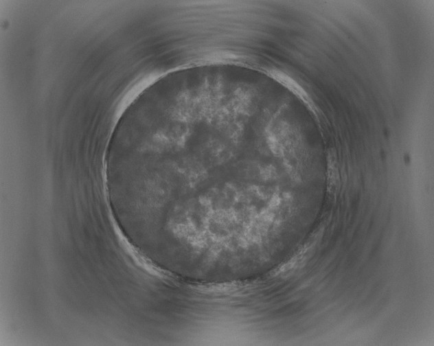 X0000077321047200611101453