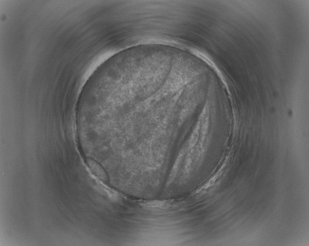 X0000077321048200611101453