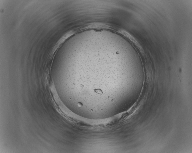 X0000077321049200611101453