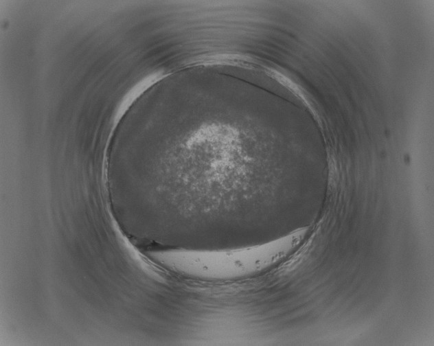 X0000077321050200611101453